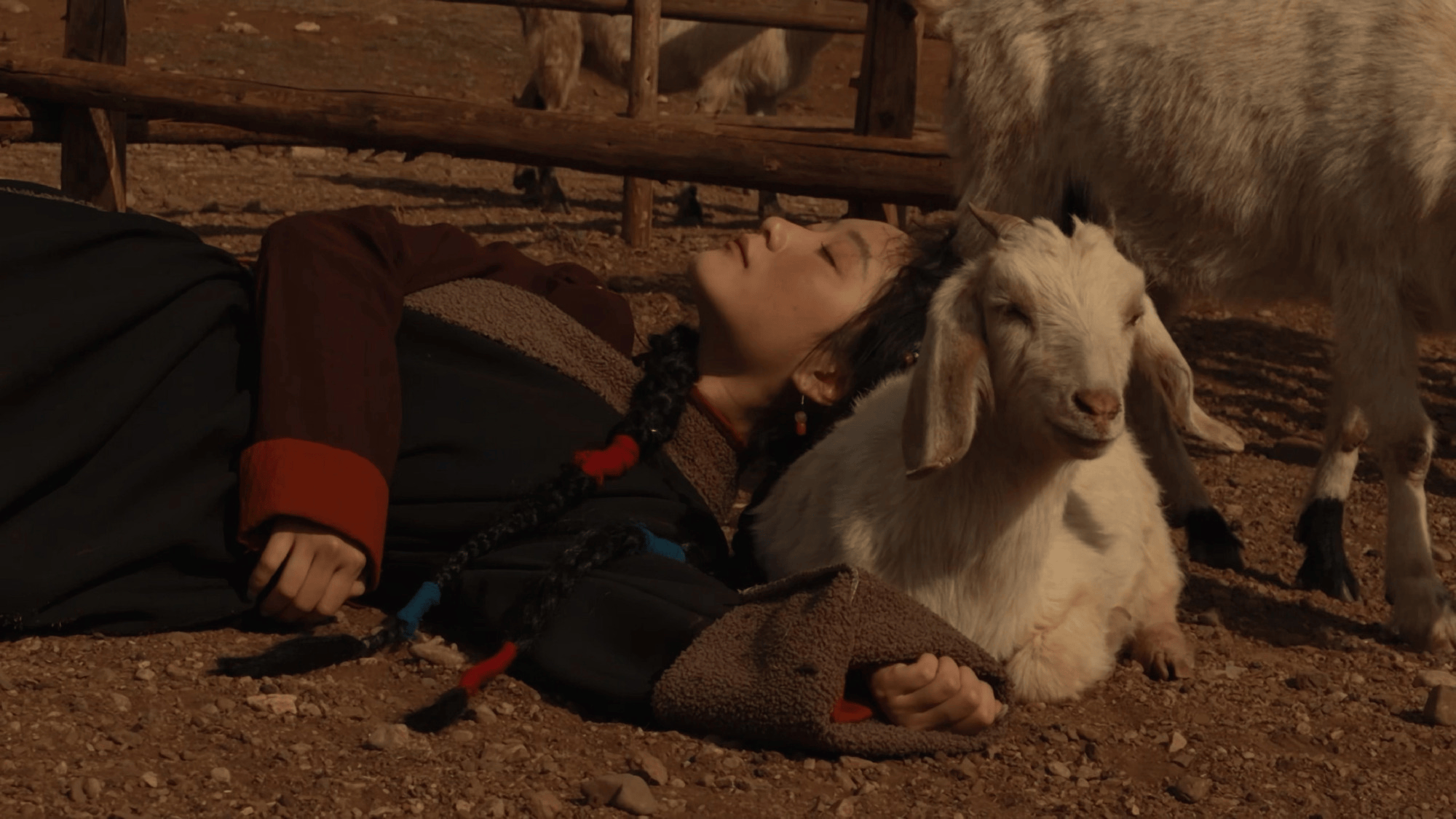 一雪发布写真：火为源，天地之间，有生命之物