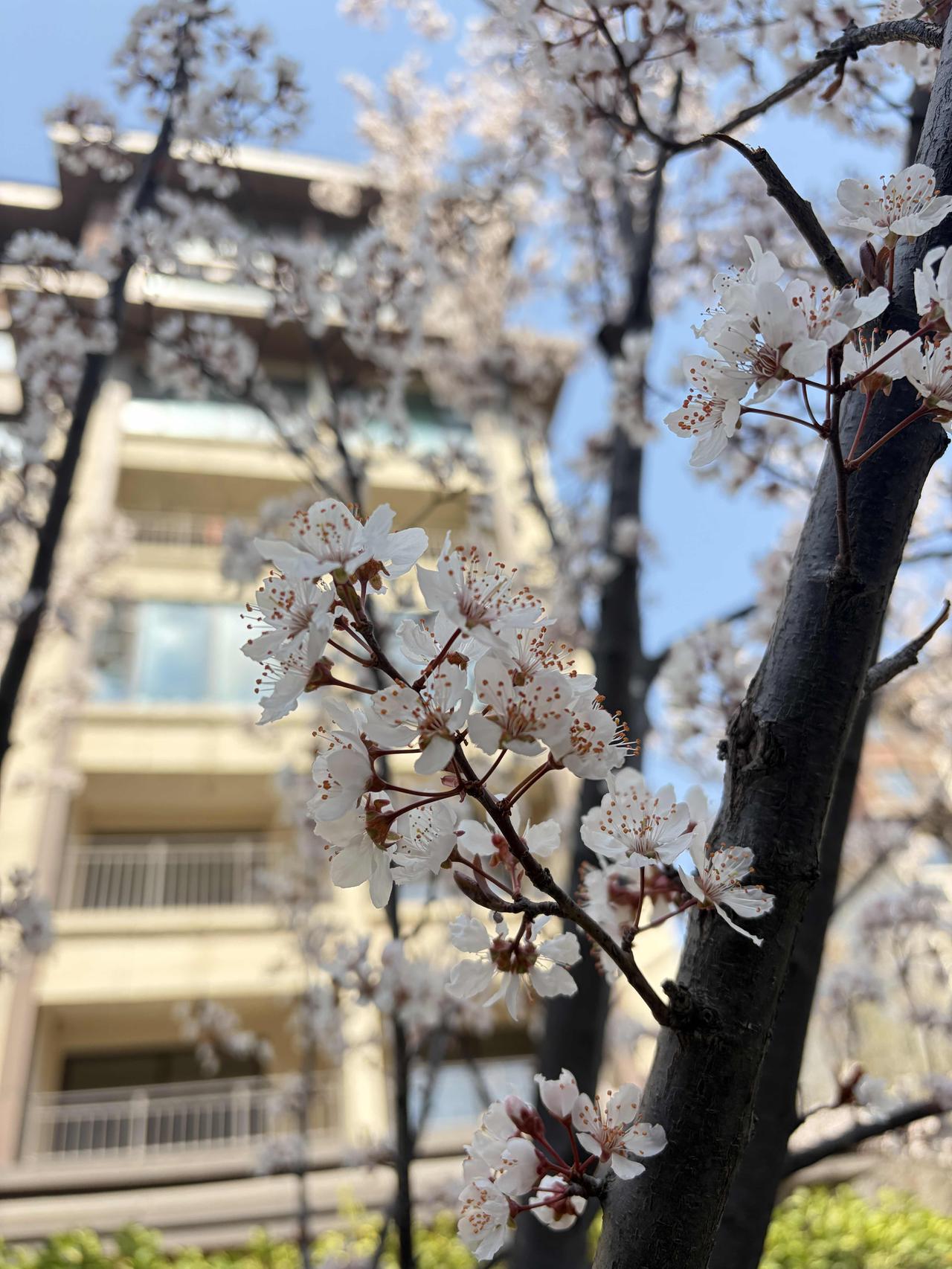 生活处处是美好