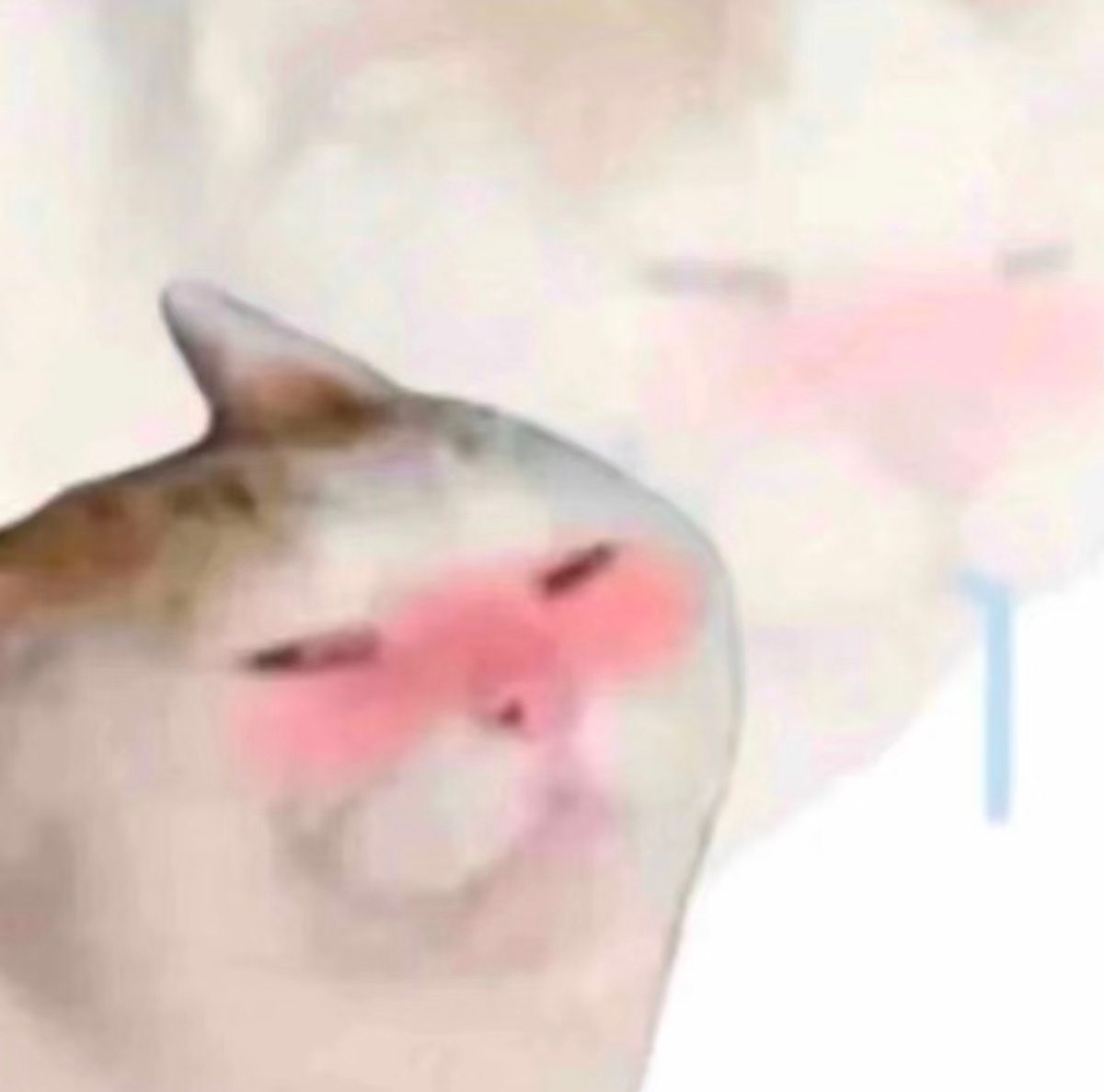 看完高会的我be like: 