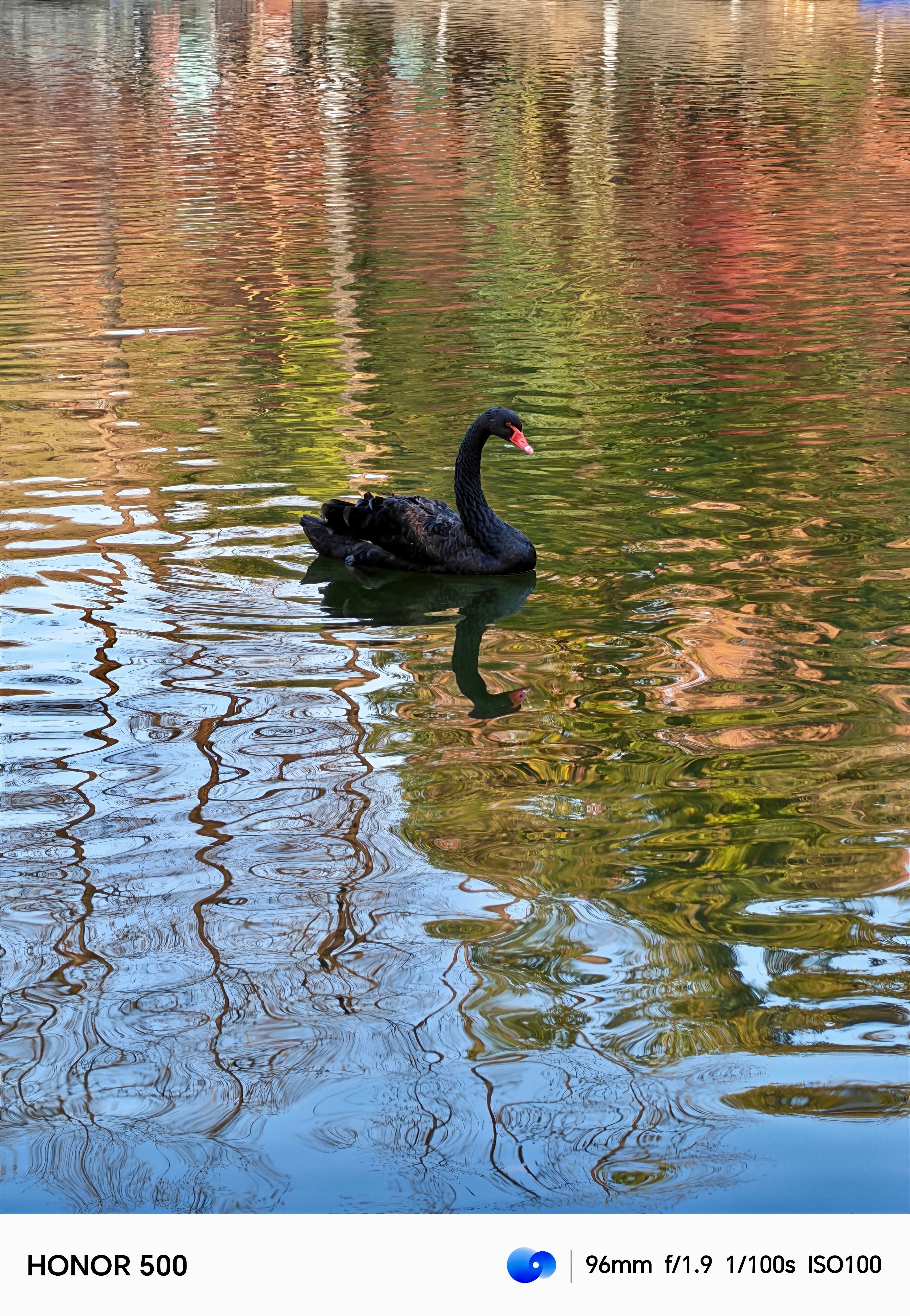 周末快乐！🎉谁还没看今年的枫叶🍁南京栖霞寺的枫叶真的很美！但是是上周拍的哈哈