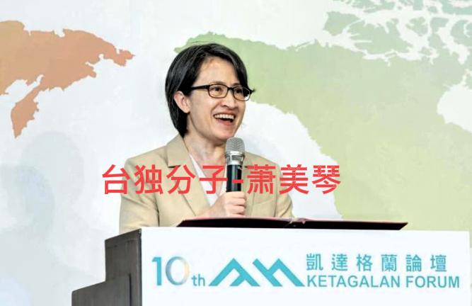 8月5日“台独分子”萧美琴在社交媒体上发文，台湾常被视为地缘政治紧张局势的最前线