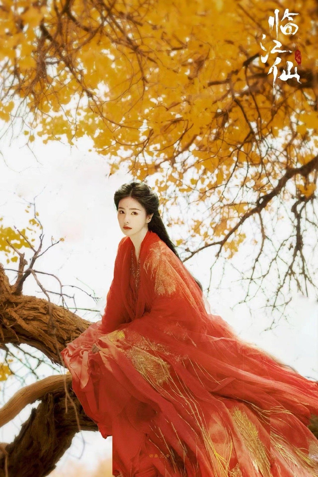 白鹿的《临江仙》今日定档，好期待播出哦，一步一步走过来的大女主，她的剧每一部都是