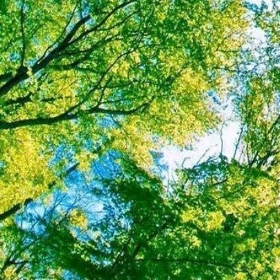 阳光信用每日一善 坚强是不屈不挠，坚强是果敢坚决，坚强是在曲曲折折中承担更多的责