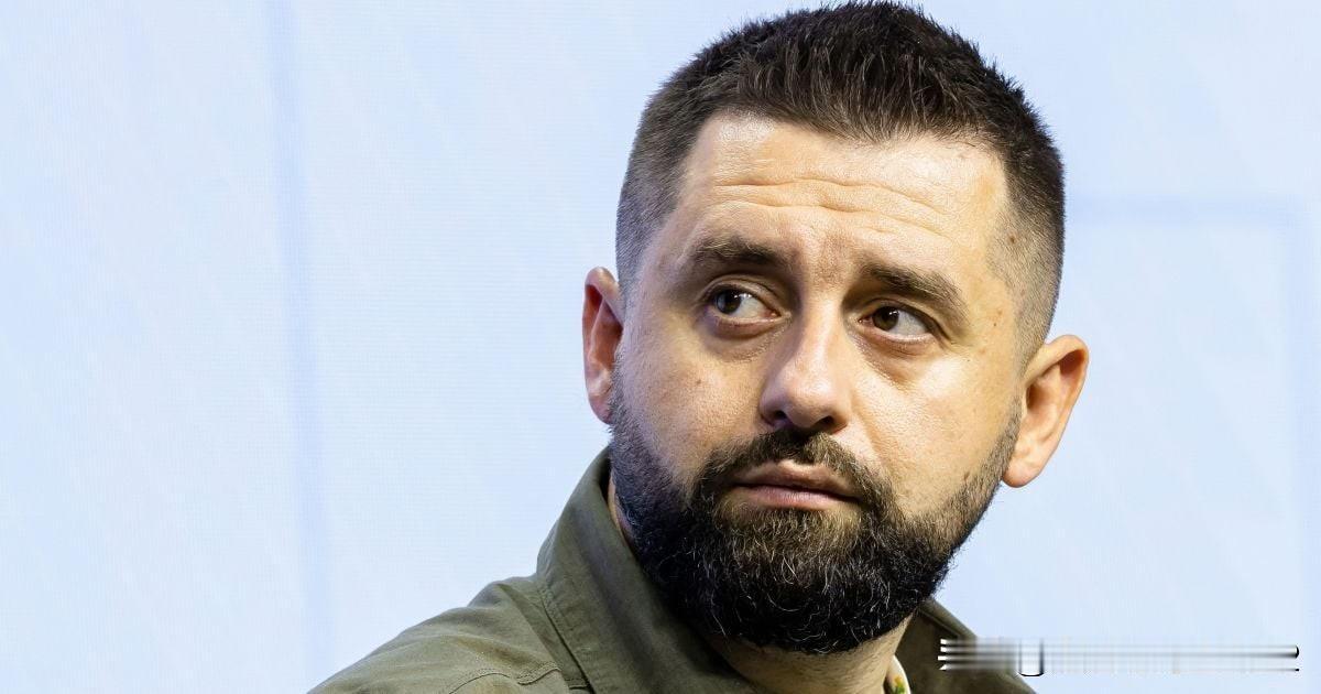 阿拉哈米亚告诫，总统、最高拉达和地方当局的同时选举，可能以崩溃告终


同时举行