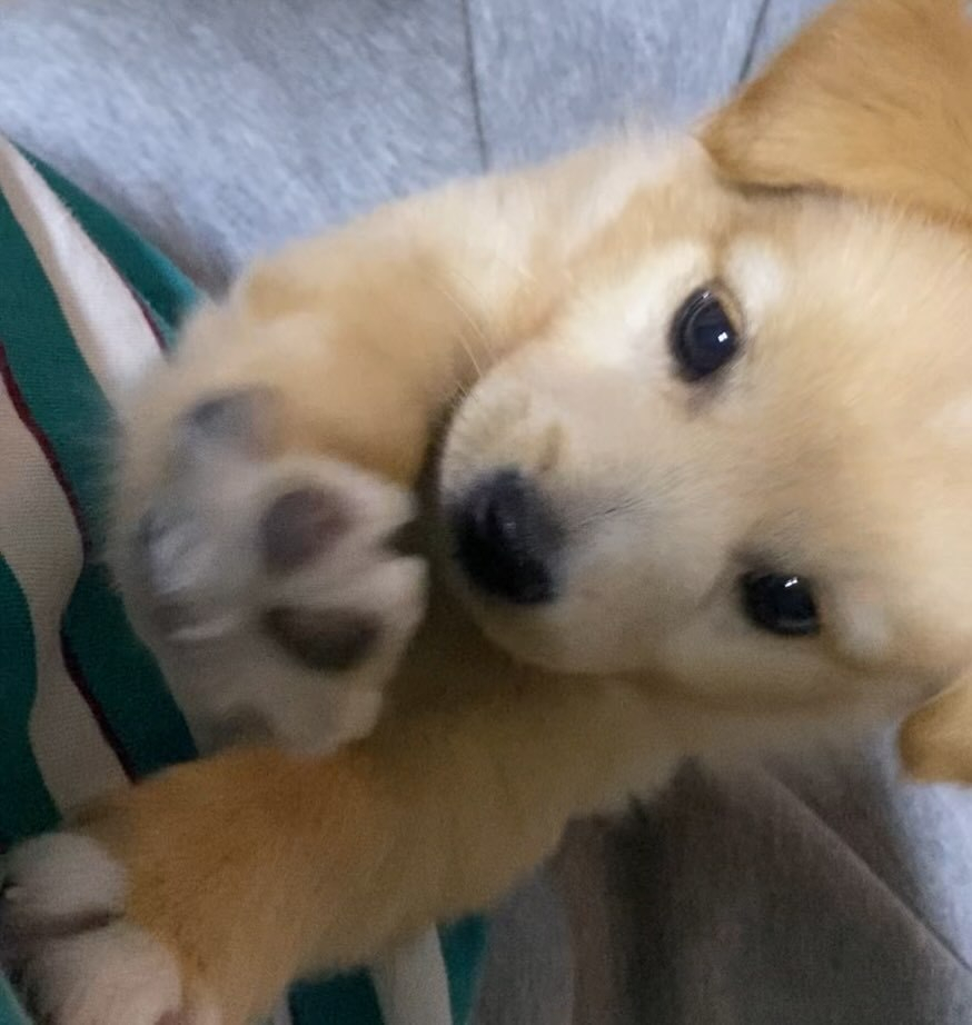 你！说你呢！不准抽烟！家里有小宝宝呢！ 