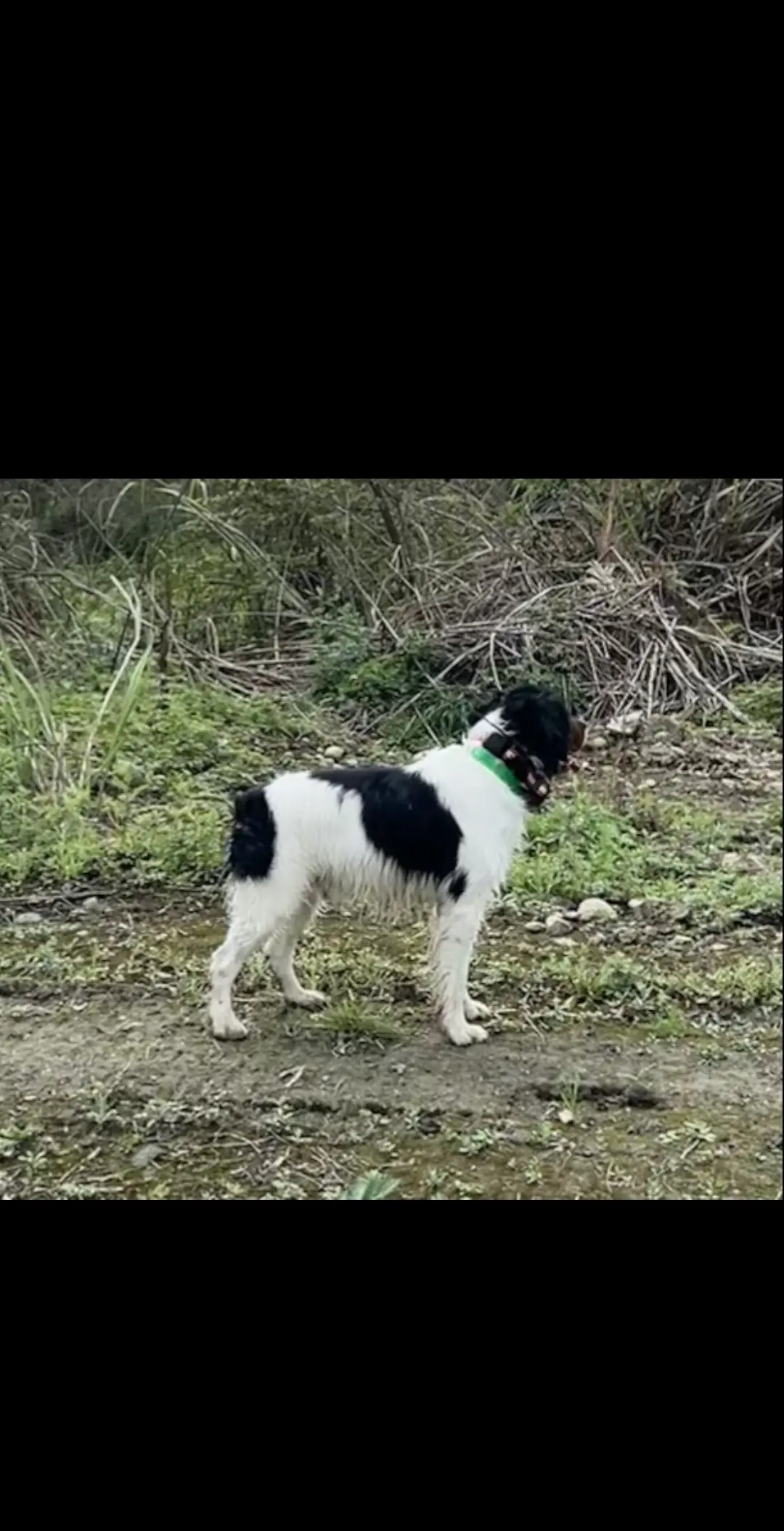 Sam