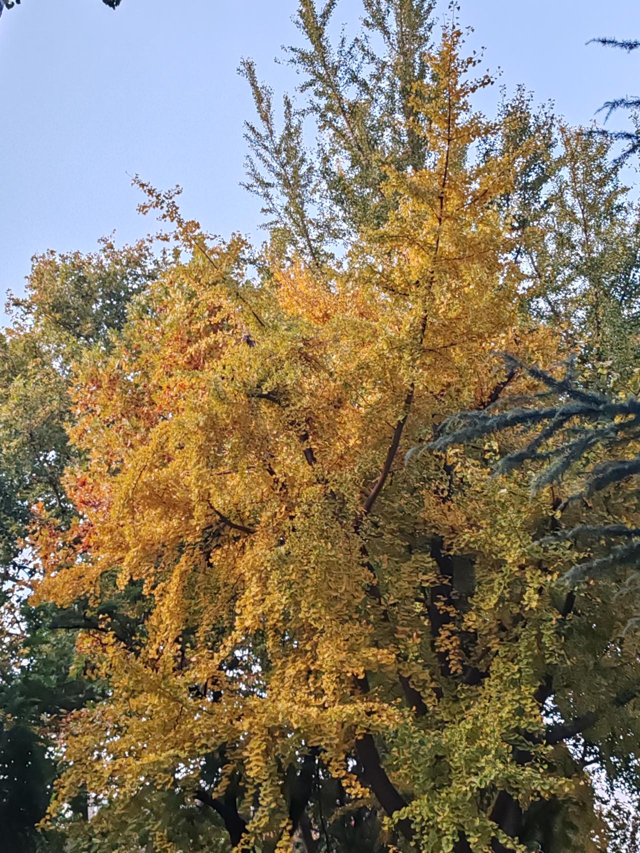 量力而行。有余钱就帮，无余钱就算。