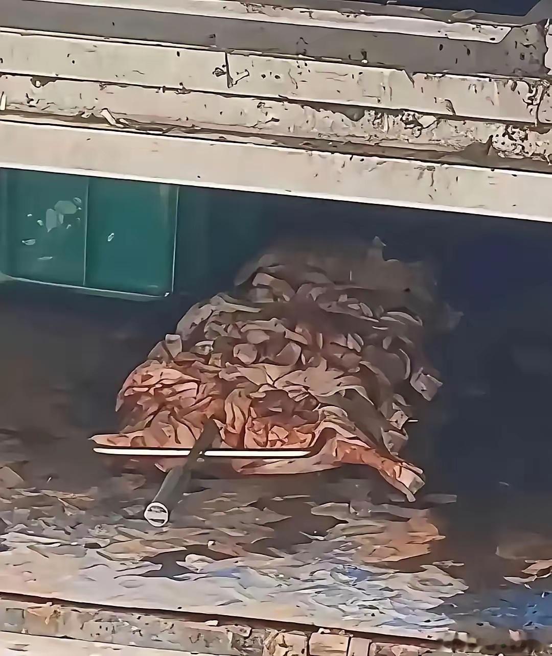 看到这一幕，以后再也不敢吃了 