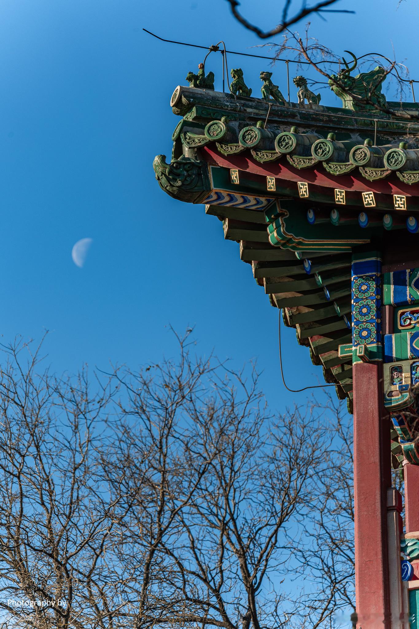 🏞️【冬游皇家园林，探寻历史痕迹】总有那么一个地方，值得你放下一切，去追寻它的