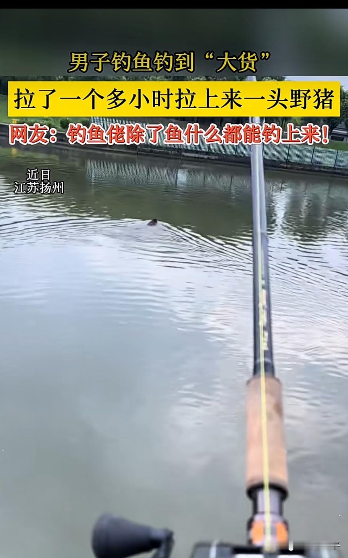 果然钓鱼佬除了鱼什么都能钓上来
江苏扬州一男子钓鱼钓到史诗级“大货”，与其搏斗一