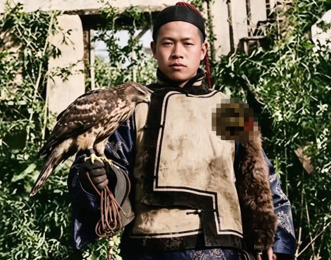 年轻时的王世襄臂上架着大鹰，怀里揣着蝈蝈，就这么走进燕京大学的课堂。教授没赶他，