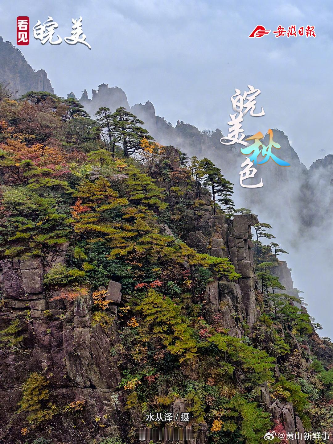 【#是时候来一趟安徽了#】一年好景君须记，最是橙黄橘绿时。秋天的安徽，满足了人们