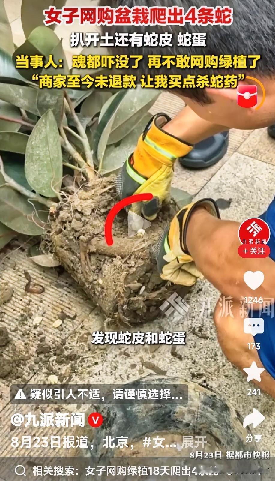 女子网购绿植18天爬出4条蛇这事，简直太惊悚了！40岁在北京通州开盲人推拿店的高