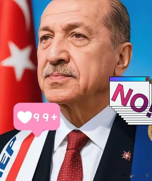 这次土耳其算是彻底打错了算盘！以为还能像当年卡我们要道那样，逼着中国企业低头。结