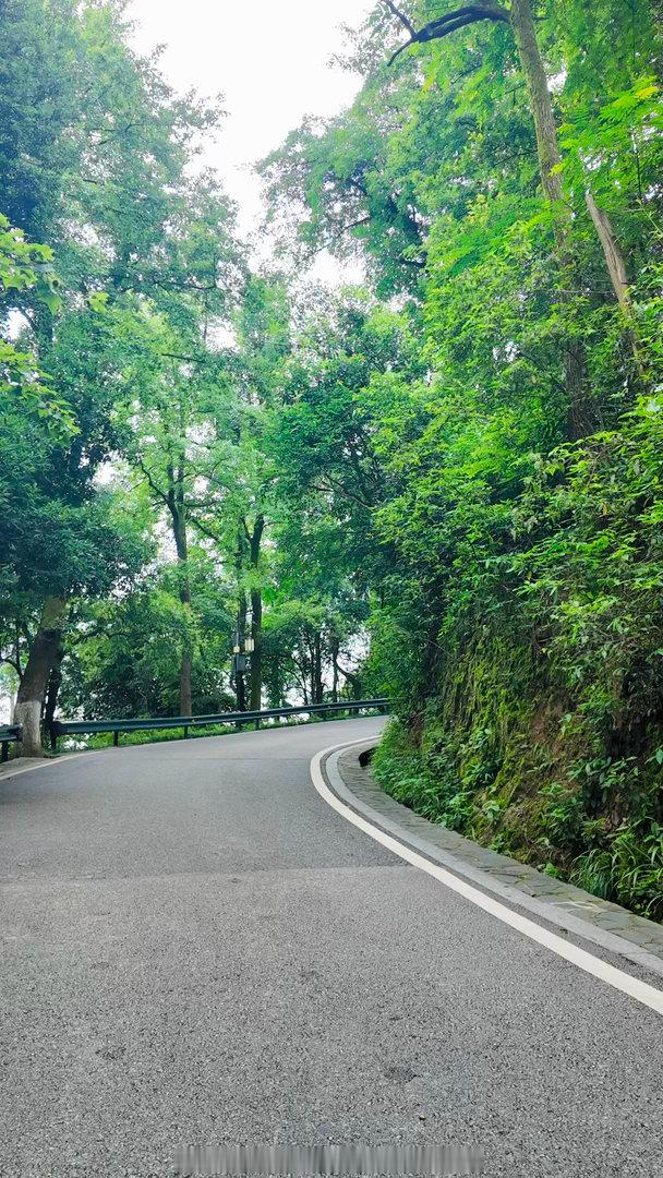 随时可以去山里真的好奢侈啊 