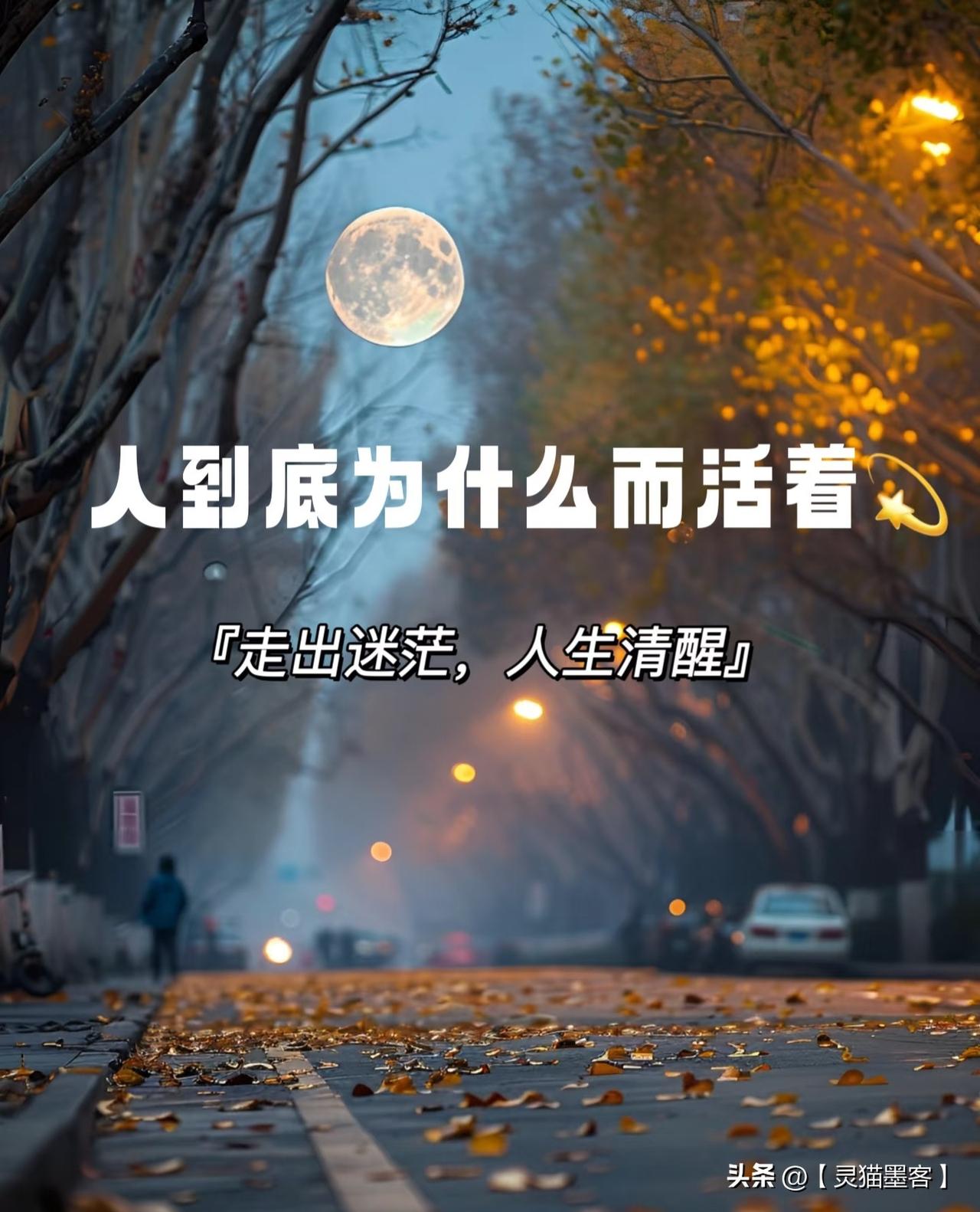 如果一生都在满足别人的期待，临终时可能会充满遗憾。为自己而活，是尊重自己作为一个