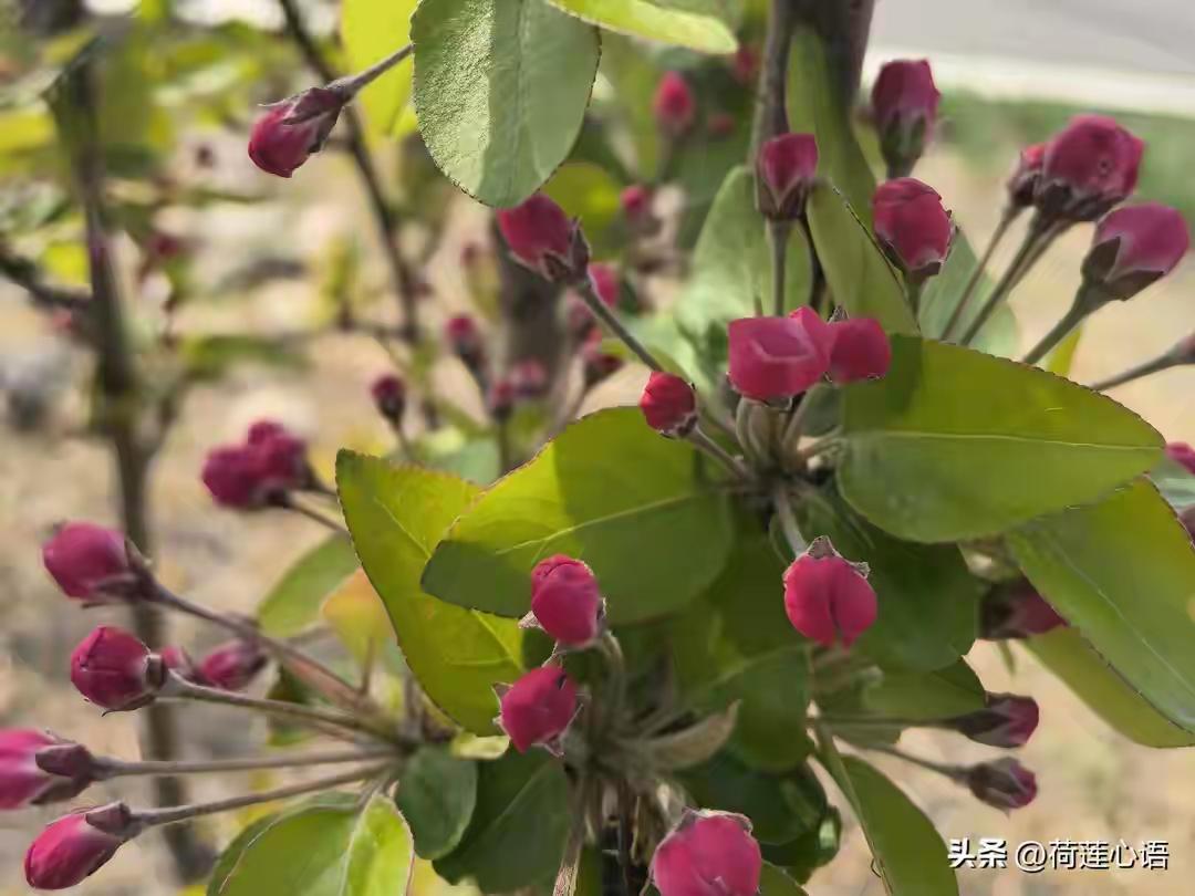 一半烟火以谋生，一半诗意以谋爱：致那个“分裂”的我们

诸位朋友，今儿单说一桩发