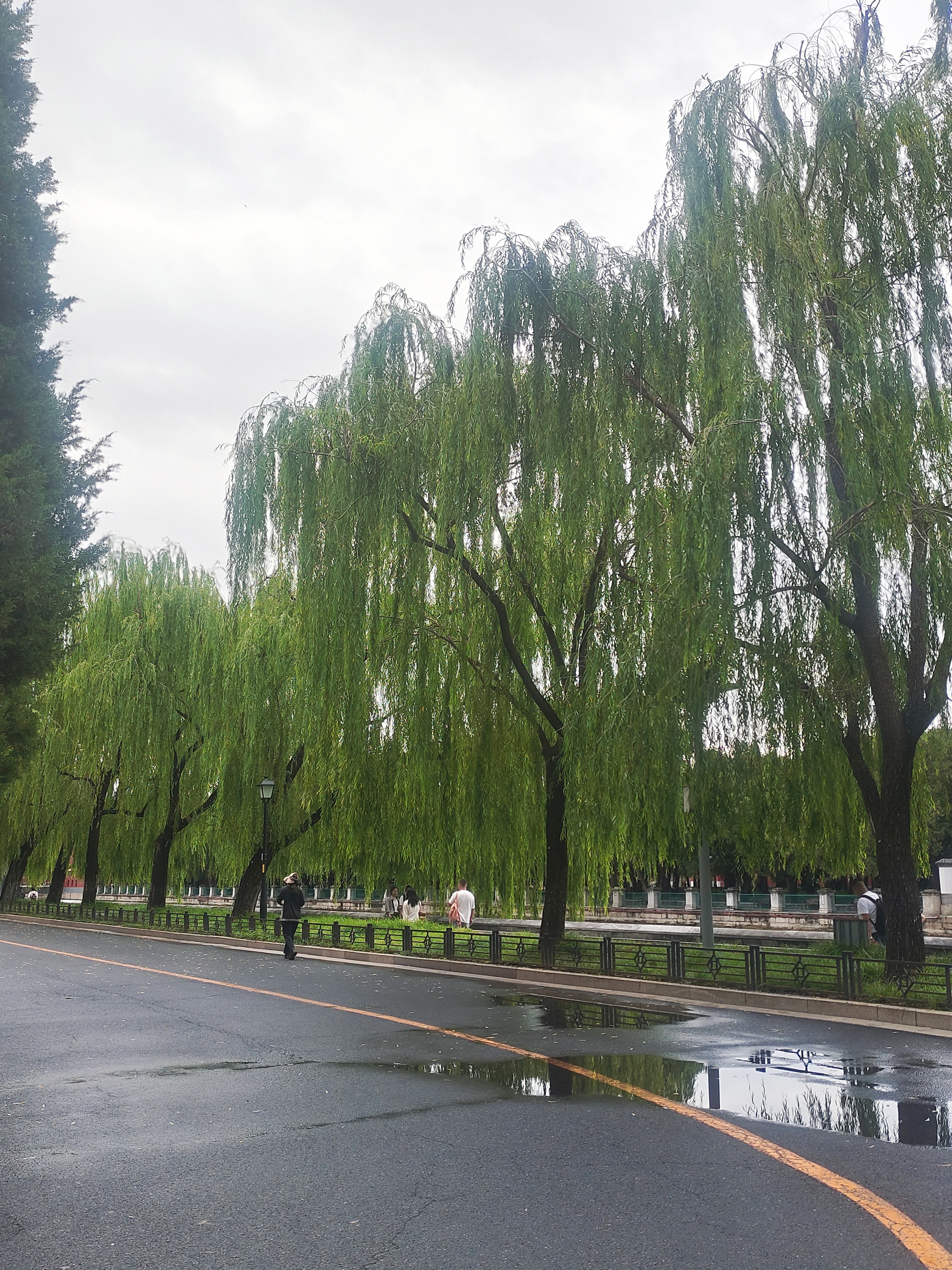 感觉故宫最漂亮的是外围沿河一路，而且风吹吹凉凉的好舒适呀，这里citywalk一