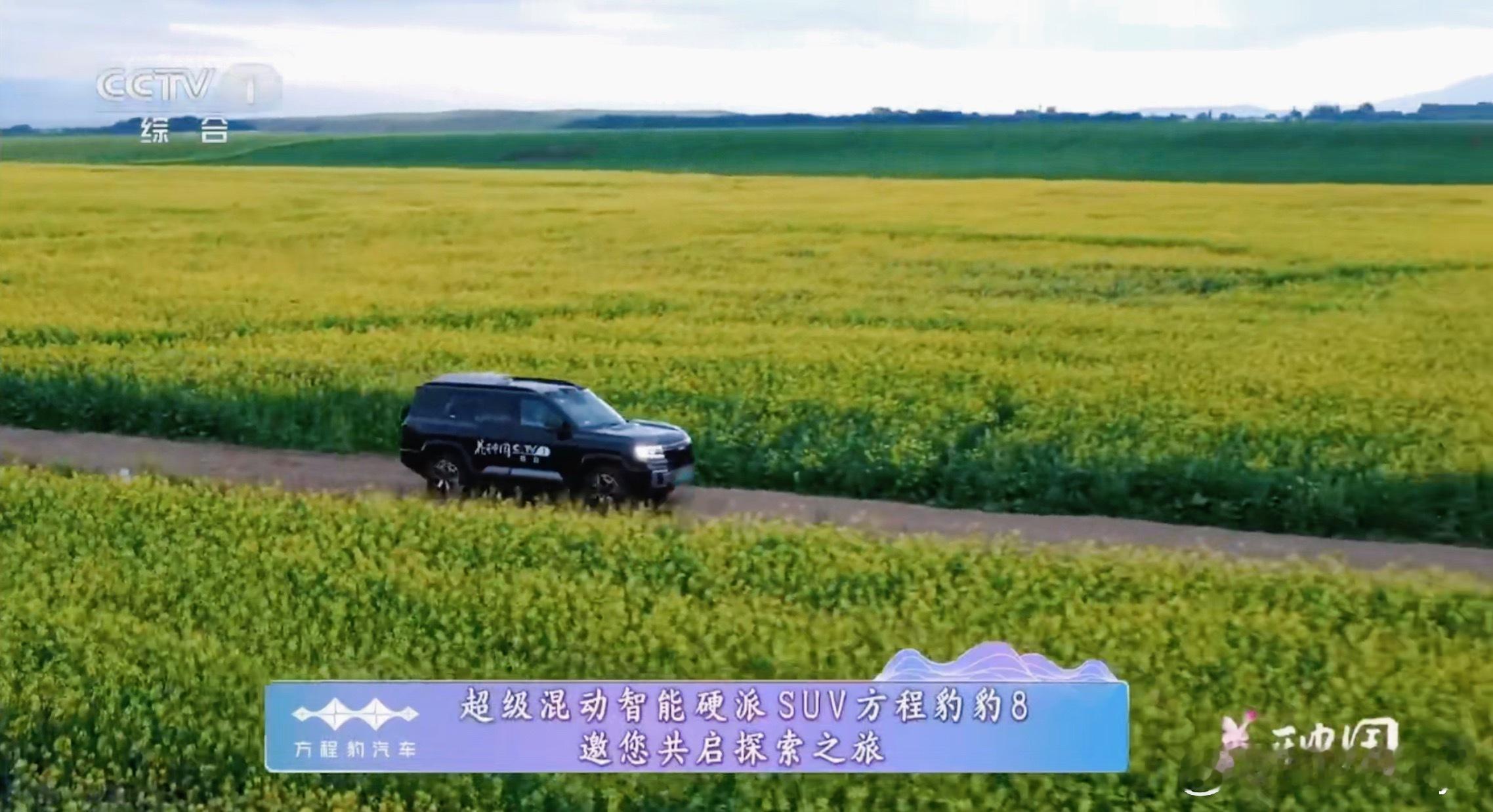 国庆出游还能这么玩？看《花开中国》我直接酸成柠檬精！尼格买提、张雨绮坐的方程豹豹