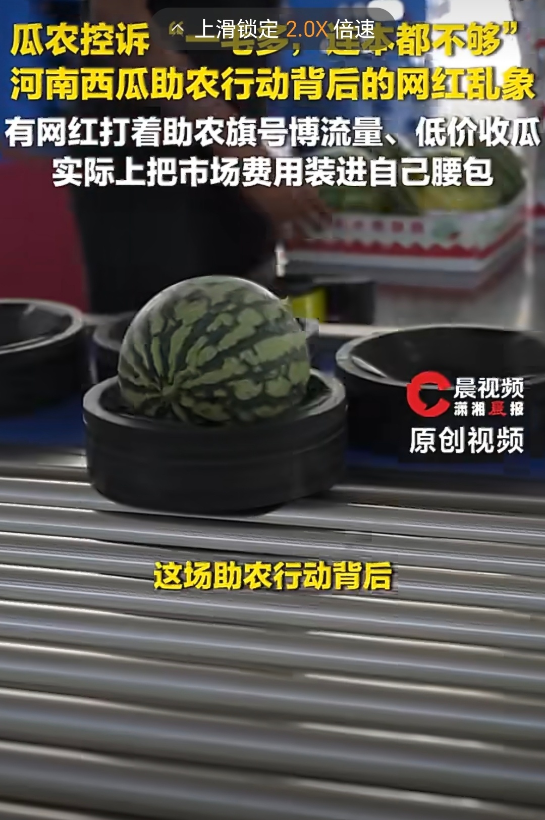 滞销西瓜被网红压价到一毛多一斤还是胖东来实在，好像助农的产品不赚一分钱，就是一块