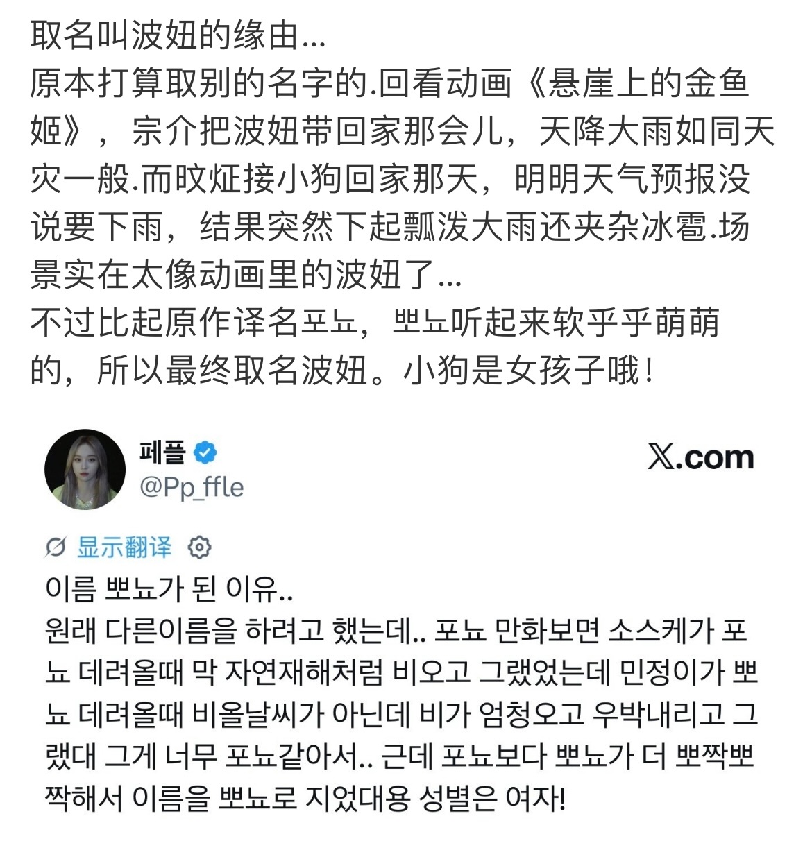 金旼炡和波妞的相遇好像电影情节 她真的是一个天使宝宝