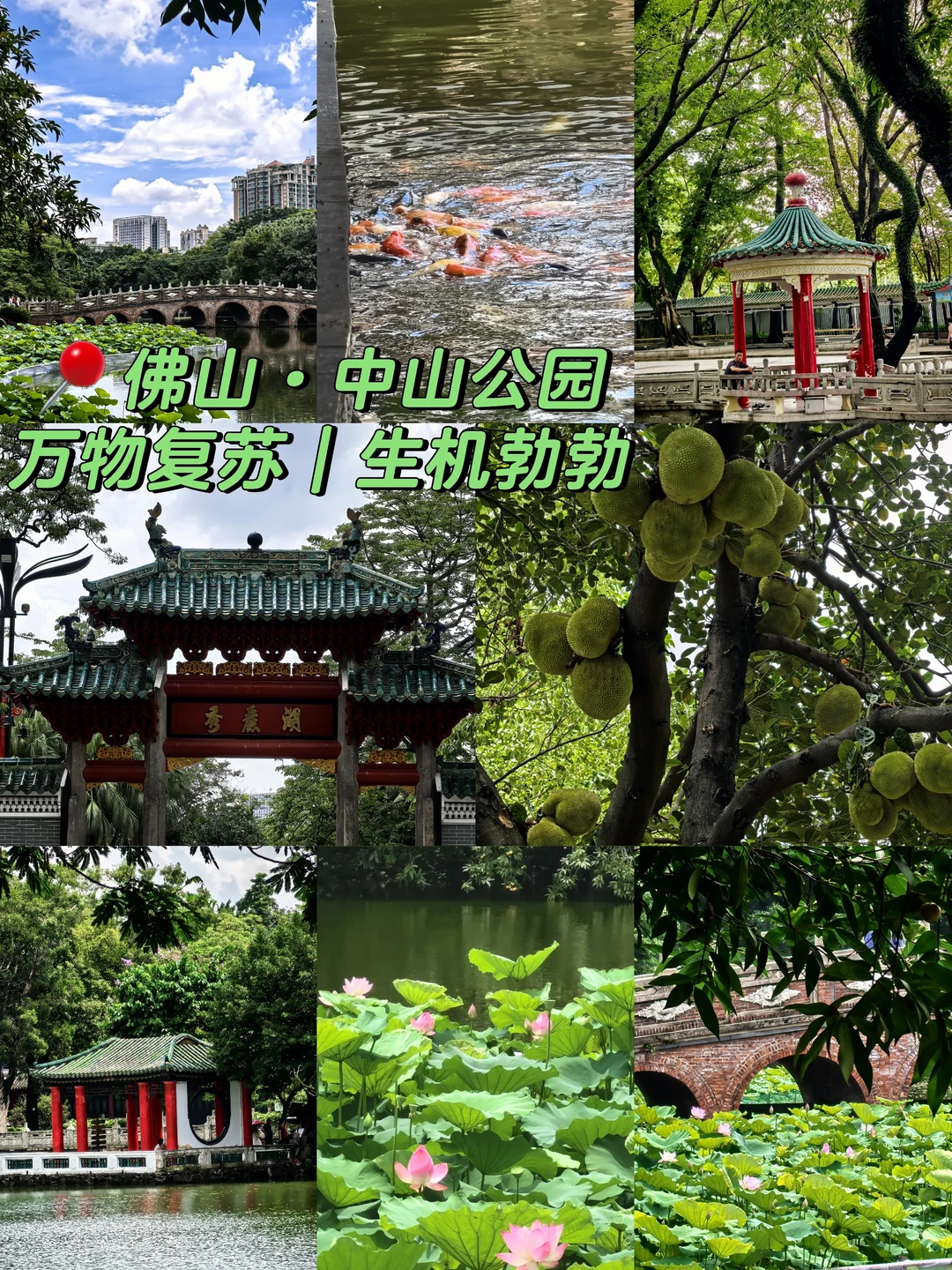 📍佛山·中山公园旅游攻略免费+地铁直达