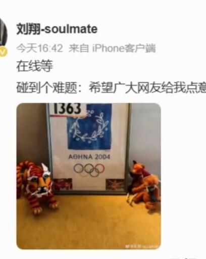 刘翔求助
全网砸锅
体制内的饭碗怕是端不住了，要么买断工龄，过着他喜欢的生活，买