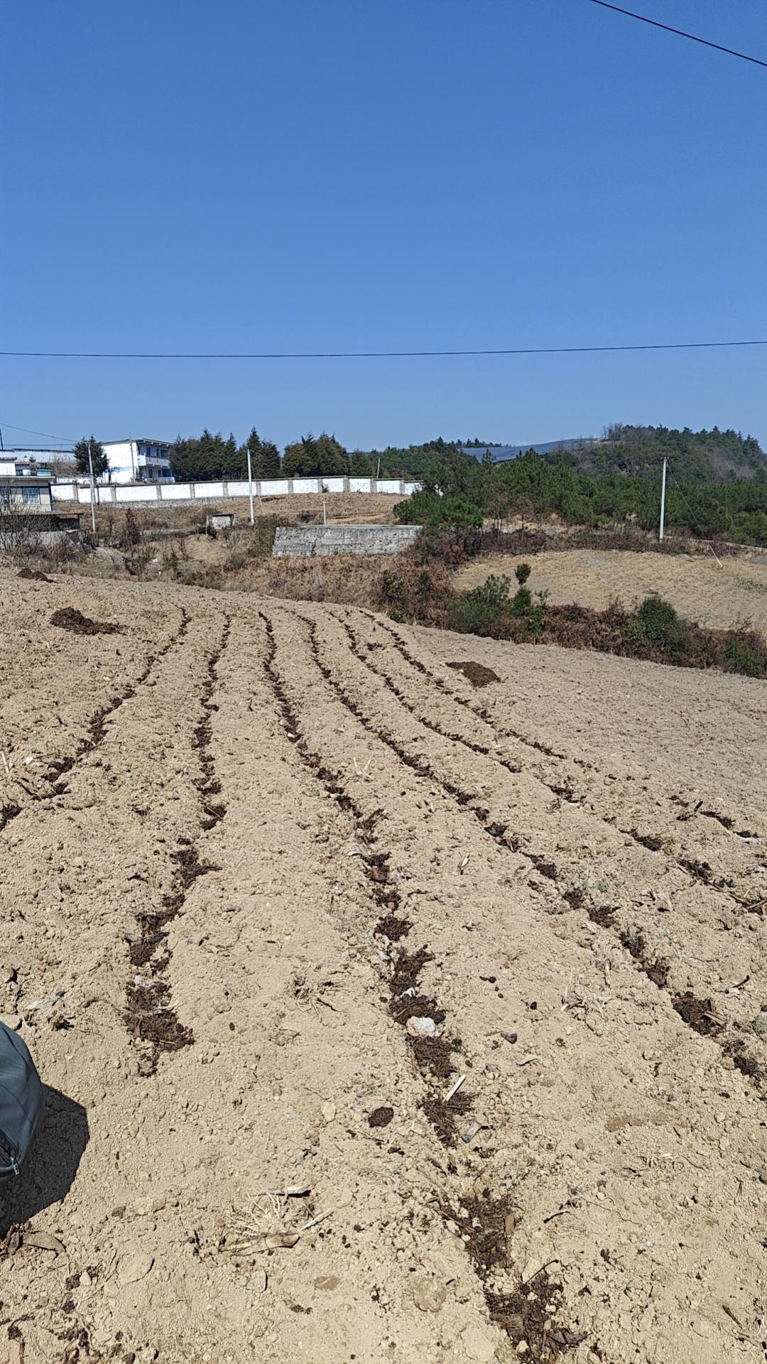 现在的农村处于嫌你穷，怕你富的心态

你但凡在农村待上一段时间，就会发现除了至亲