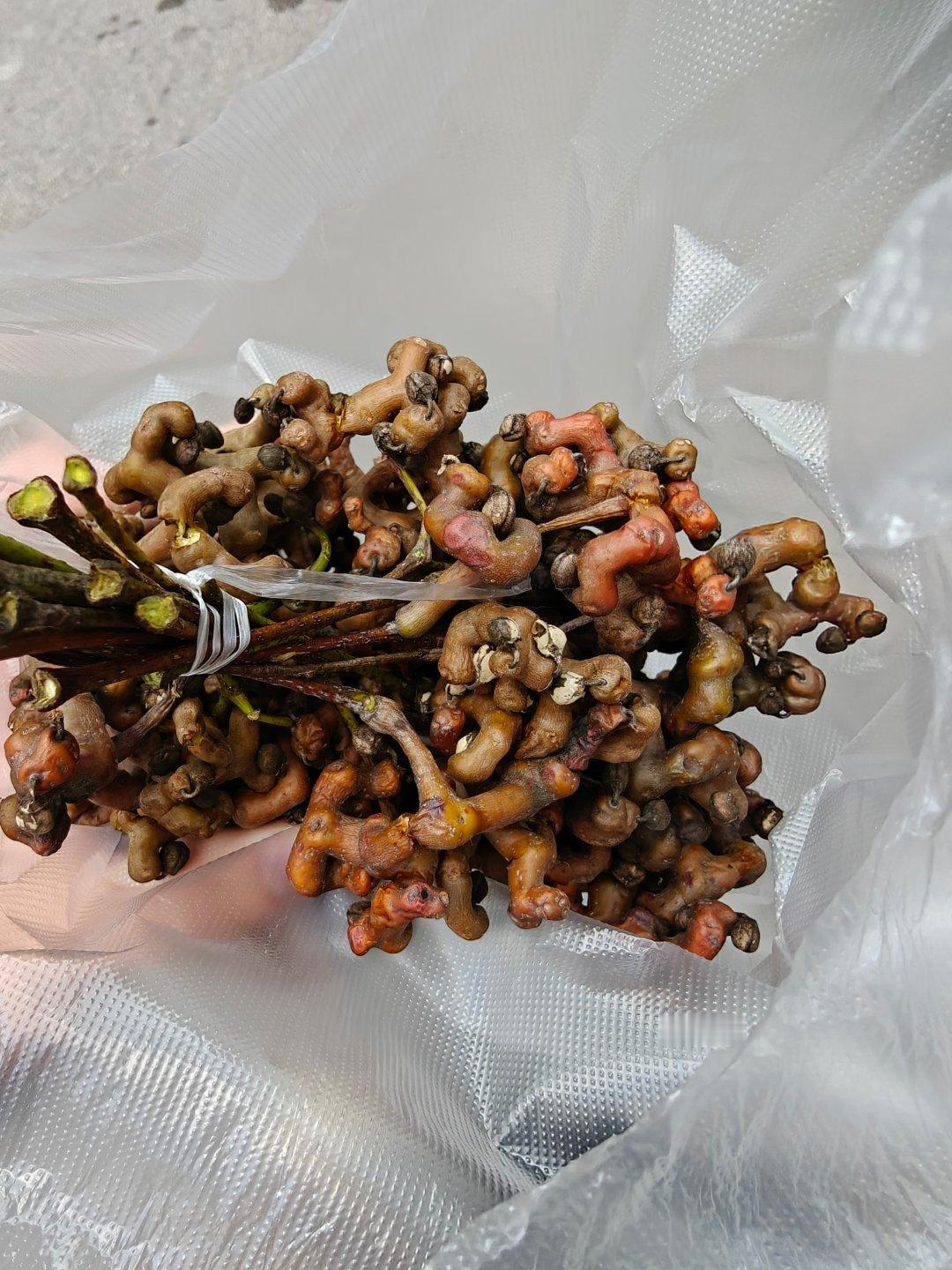 上次吃拐枣感觉是十几年前了，当时还是我奶奶去不知道哪个地方买了一大盆，然后我爸妈