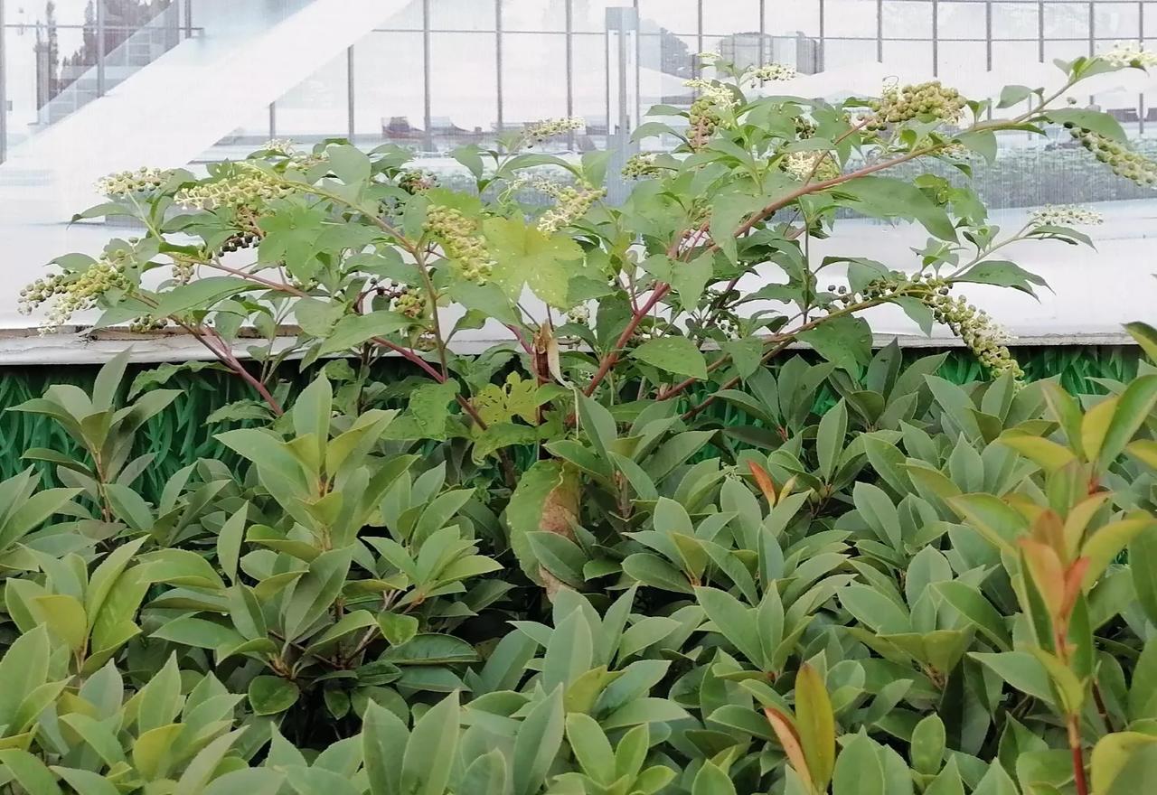 千万不要把另一半当成自己的所有物，否则一定会得到背刺[kiss]