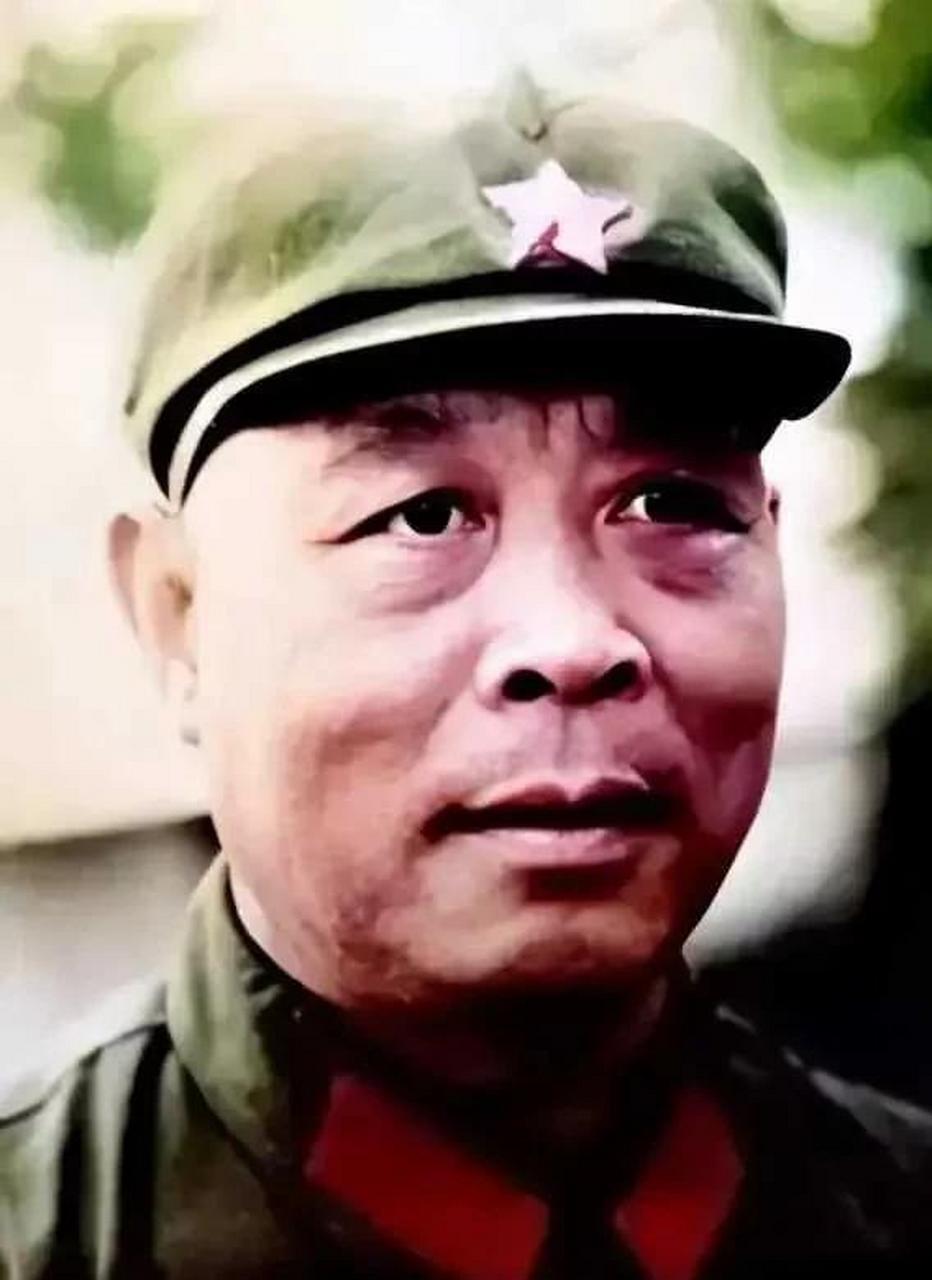 如果说许世友与杨得志是对越自卫反击战东西两路元帅，那么魏化杰与阎守庆就是东西两路
