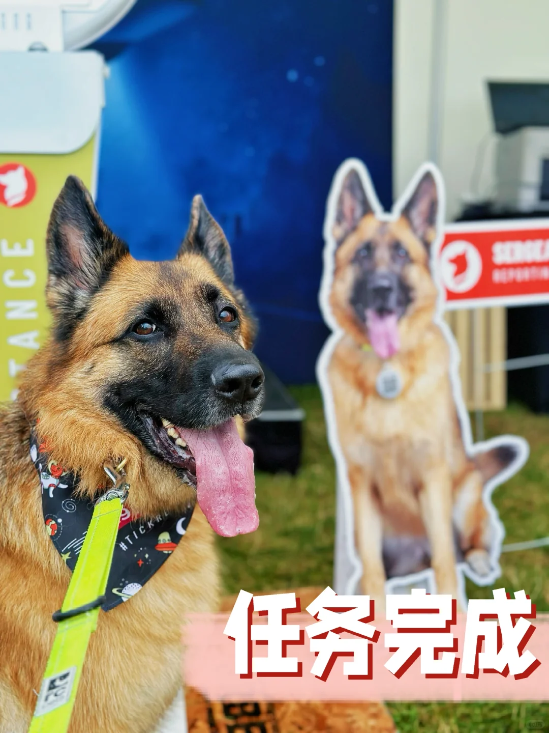 猪猪我啊 回到了五年前去过的地方