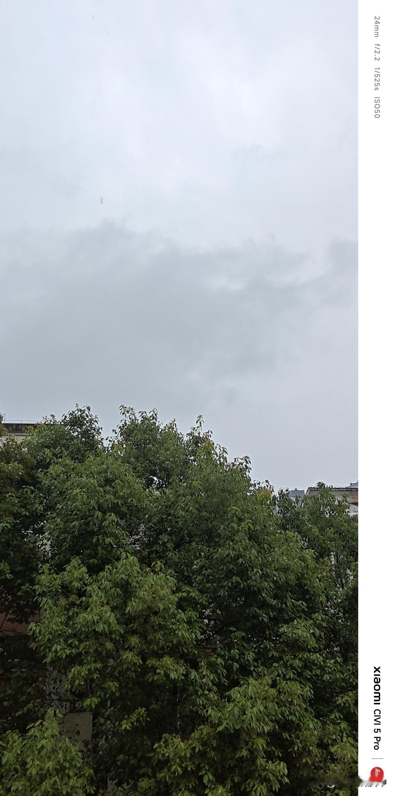 雨天湿漉漉的，原本让人生出一丝凉意，但添件外套、捧杯热茶，心里就暖暖的。然后，闭