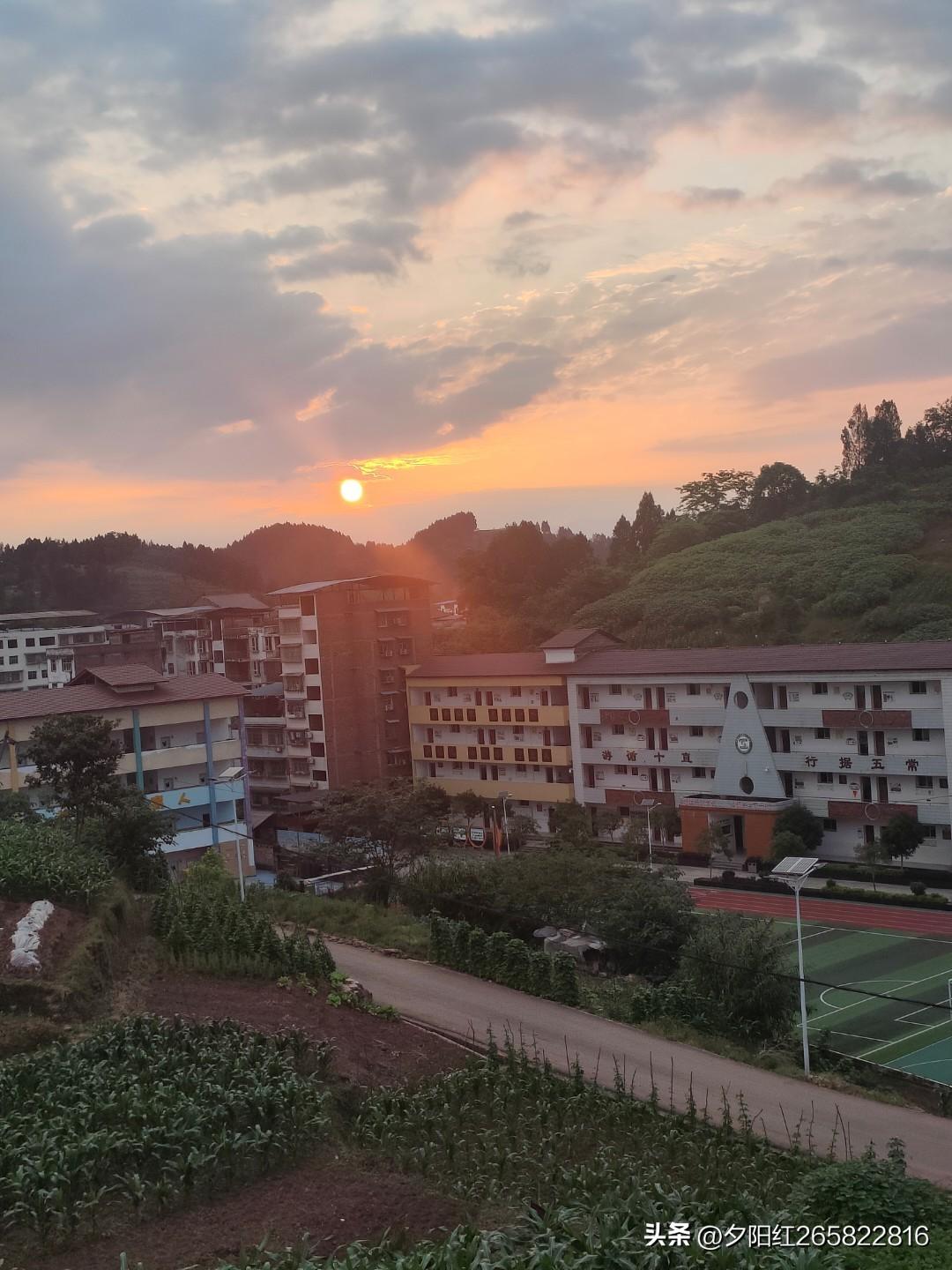 散文
夏日，是一场盛大而热烈的狂欢。
阳光如同金色的丝线，肆意地洒在大地上。树叶