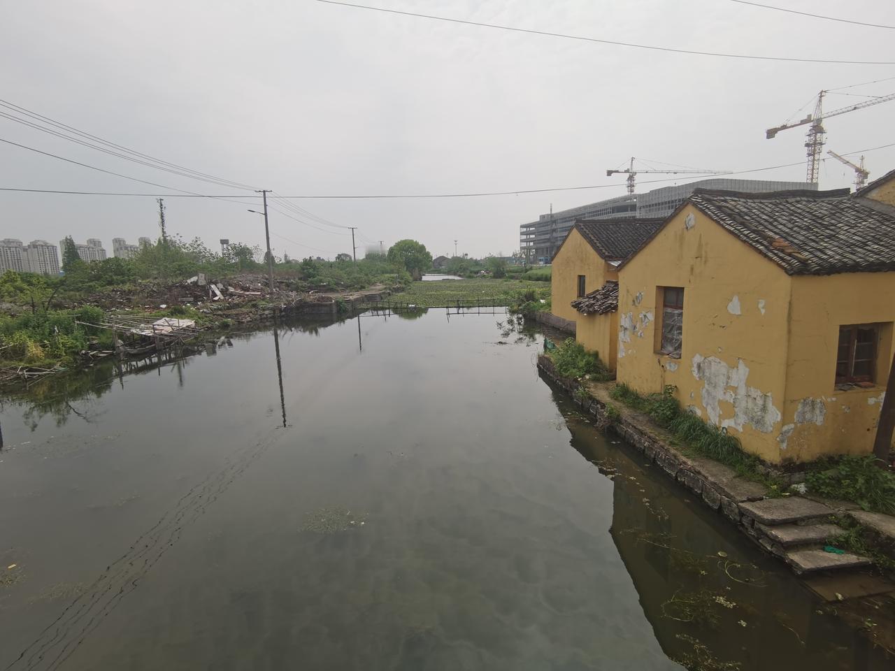 今天去洋泾湖东，村民说这条河要拓宽，那样这个张仙庙（也有叫关公庙）就要保不住。