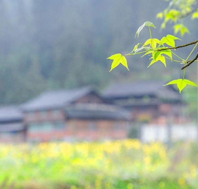 渡辽水，此去咸阳五千里。来时父母知隔生，重著衣裳如送死。亦有白骨归咸阳，营家各与