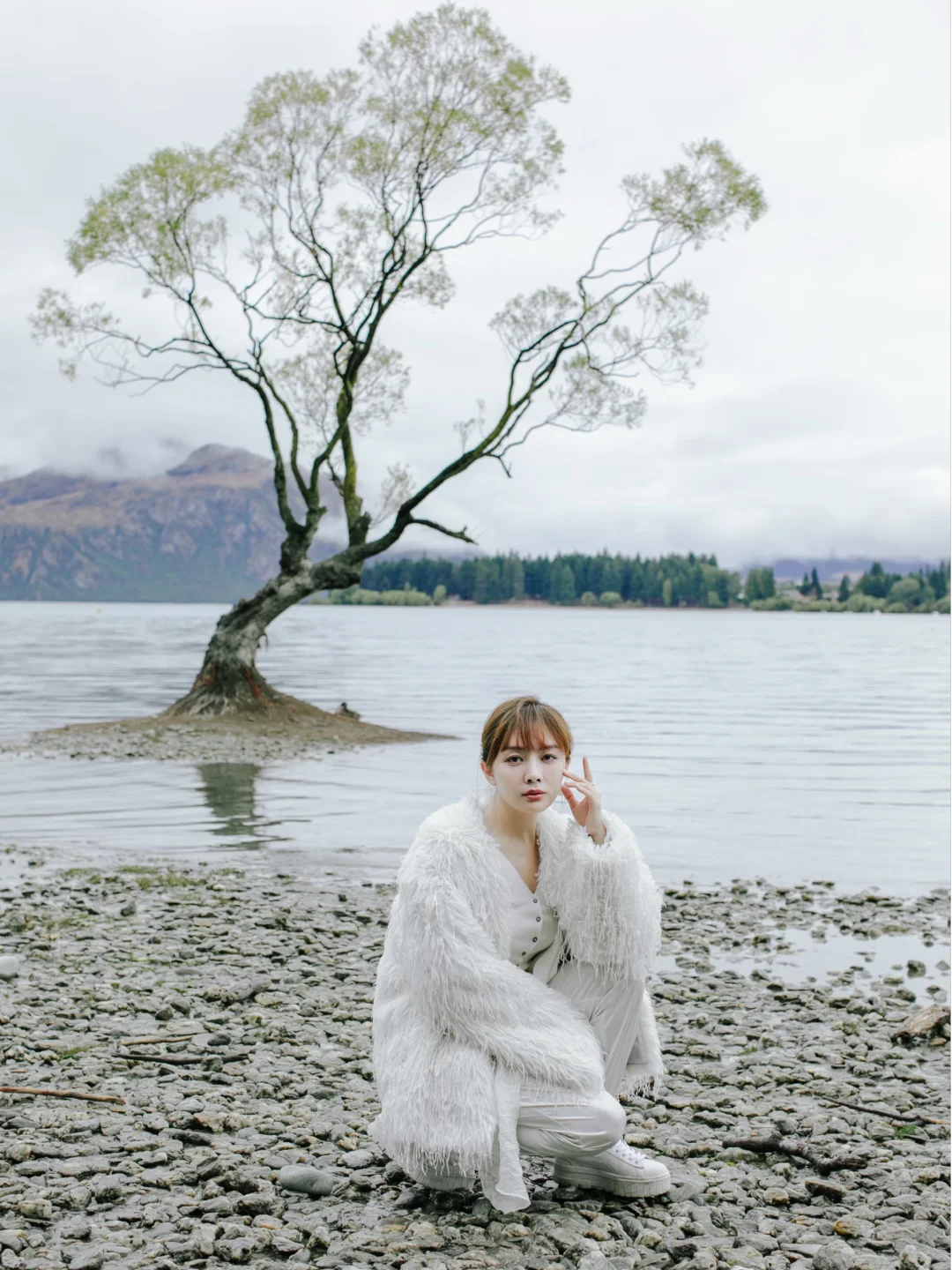 阴天的孤树，真的有点孤独 🌫️