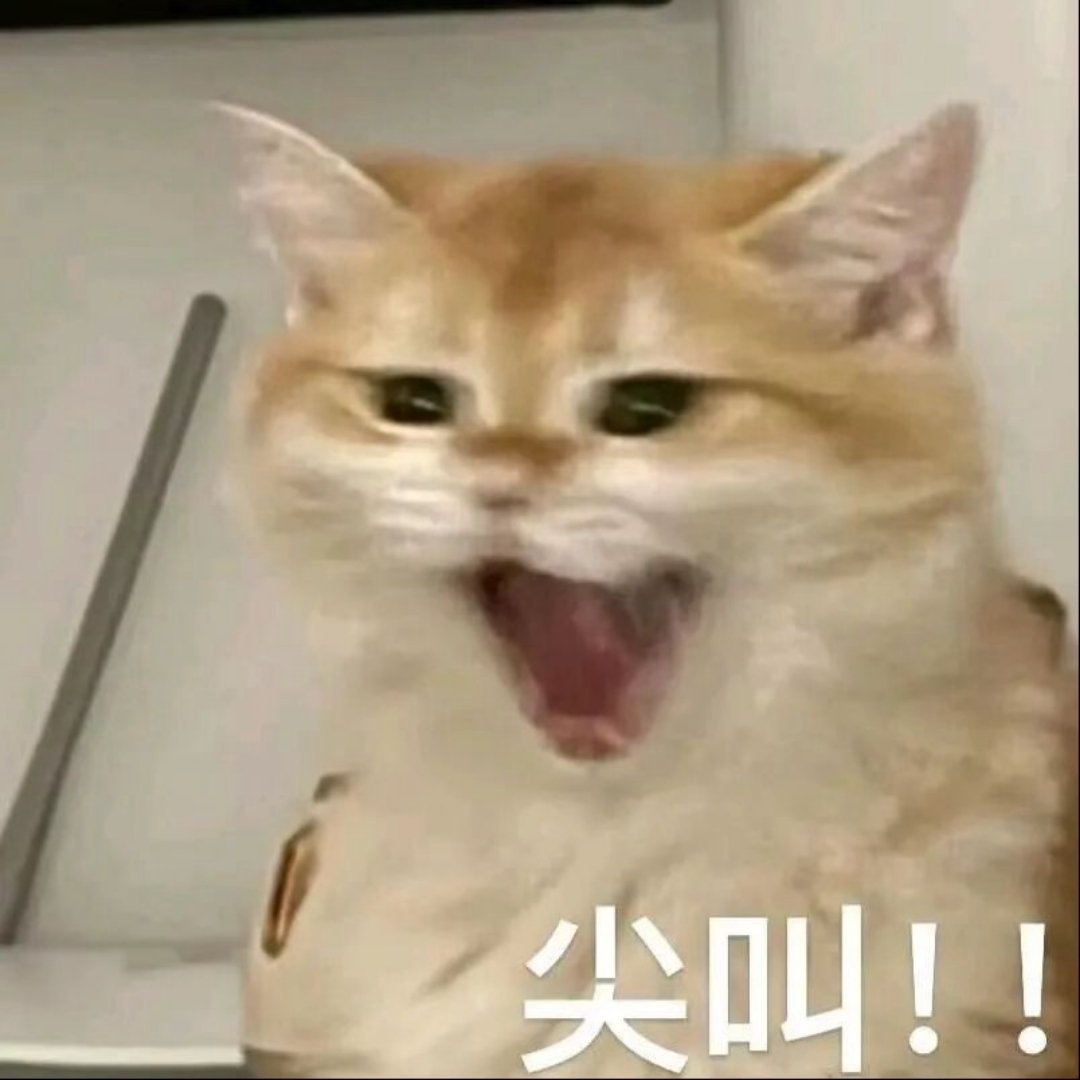 孩子 你在哪