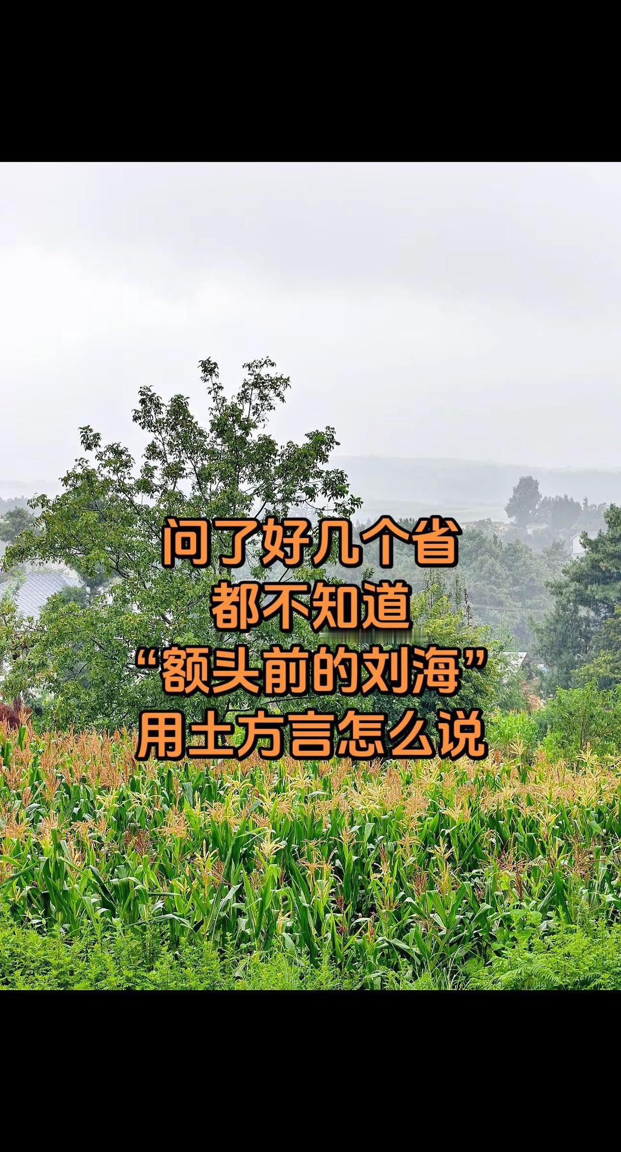 问了好几个省，都不知道“额头前的刘海”用土方言怎么说！玩法达人中心 农村生活