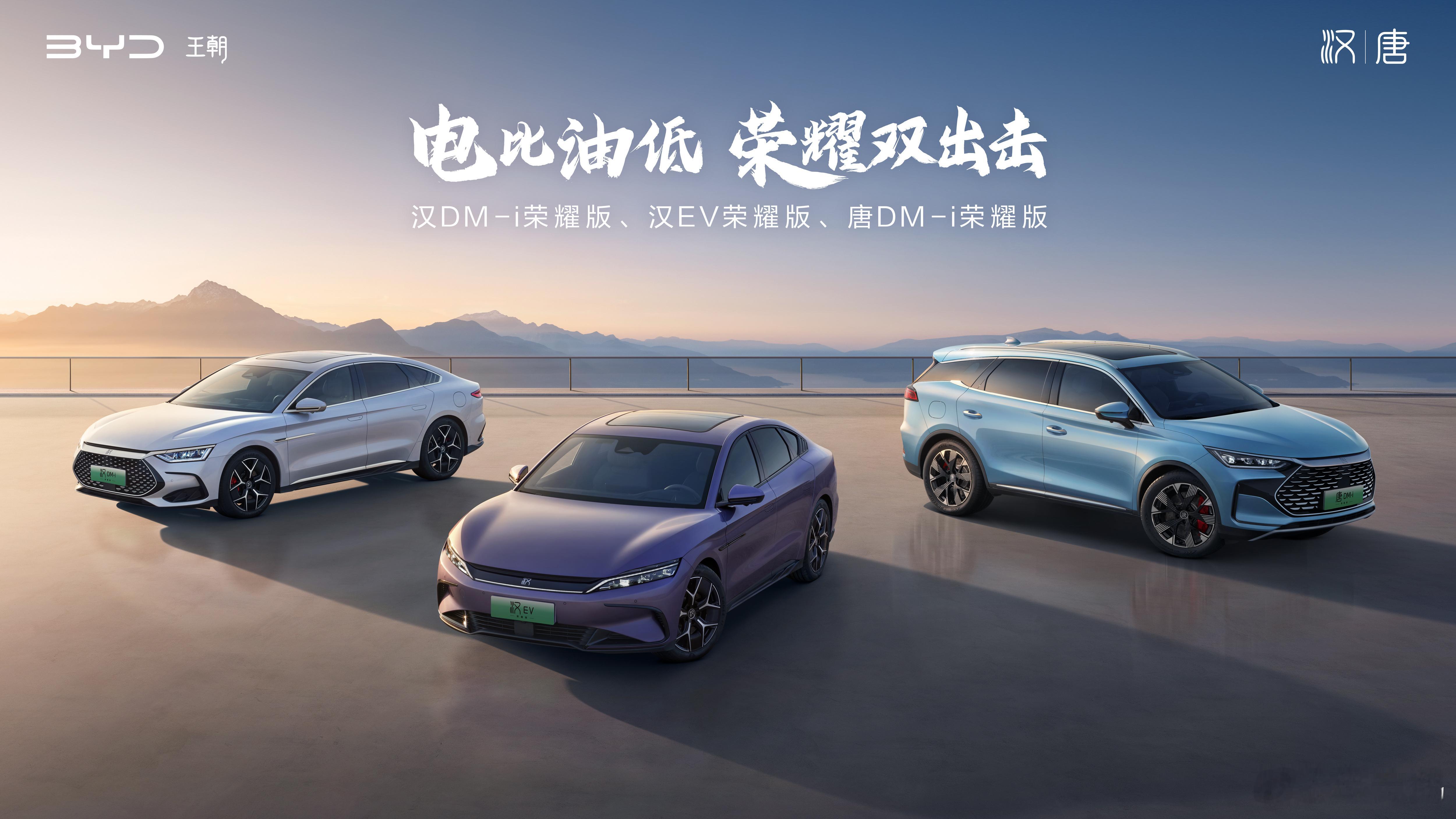延续电比油低，2024车市的竞争更激烈了继秦宋之后，BYD荣耀系列又多了2位新成