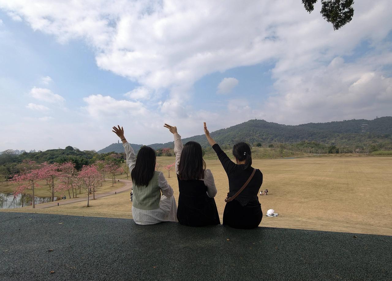 偏印不是命硬，是脑回路硬。
斯坦福把68%的AI码农划进这个圈，发现他们每周闭关