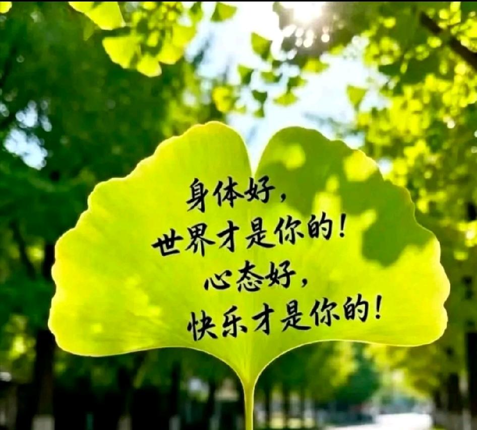 清晨5.30分，雷声阵阵，急雨匆匆落下。

雨天不便出门晨练，安心守在家里，一边