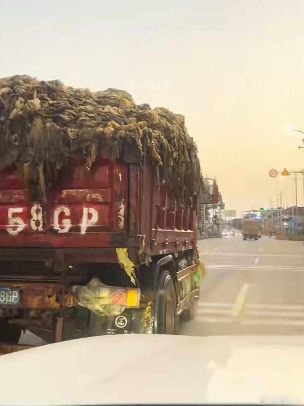 老坛酸菜已经塌无可塌了 老坛酸菜再曝生产黑幕，工人赤脚踩菜、抽烟吐痰，还吃出带鸡