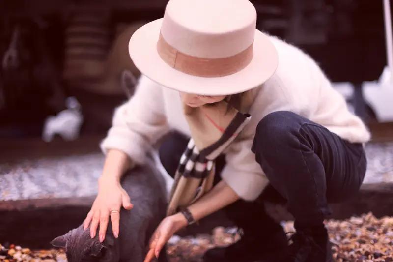 12月15日，演员何晴追悼会在北京举行。她作为唯一演遍四大名著影视作品的女演员，