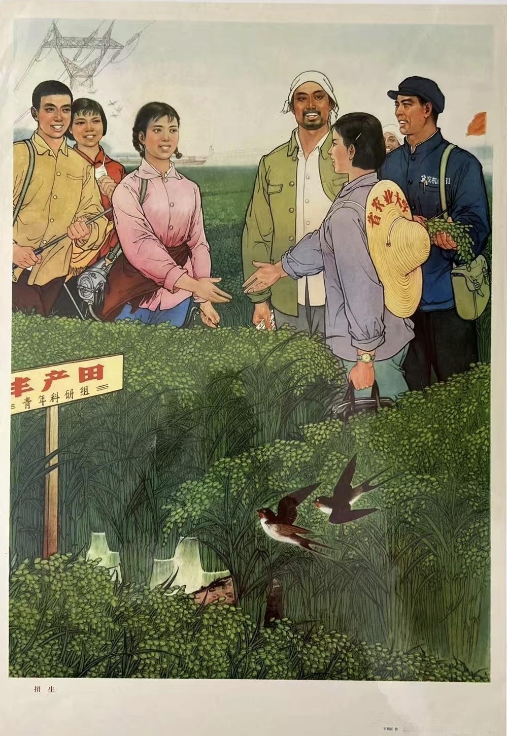 ＃红色文化＃
宣传画欣赏：
   《招生》