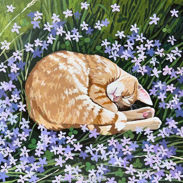 不要因为一点点挫败而放弃，只要坚持走下去，定有不同的风景。#晚安#