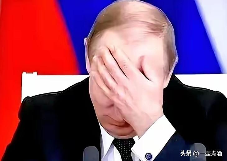 俄罗斯被逼到墙角，美欧多国在乌克兰问题上拱火难辞其咎。
北约持续东扩，不断压缩俄
