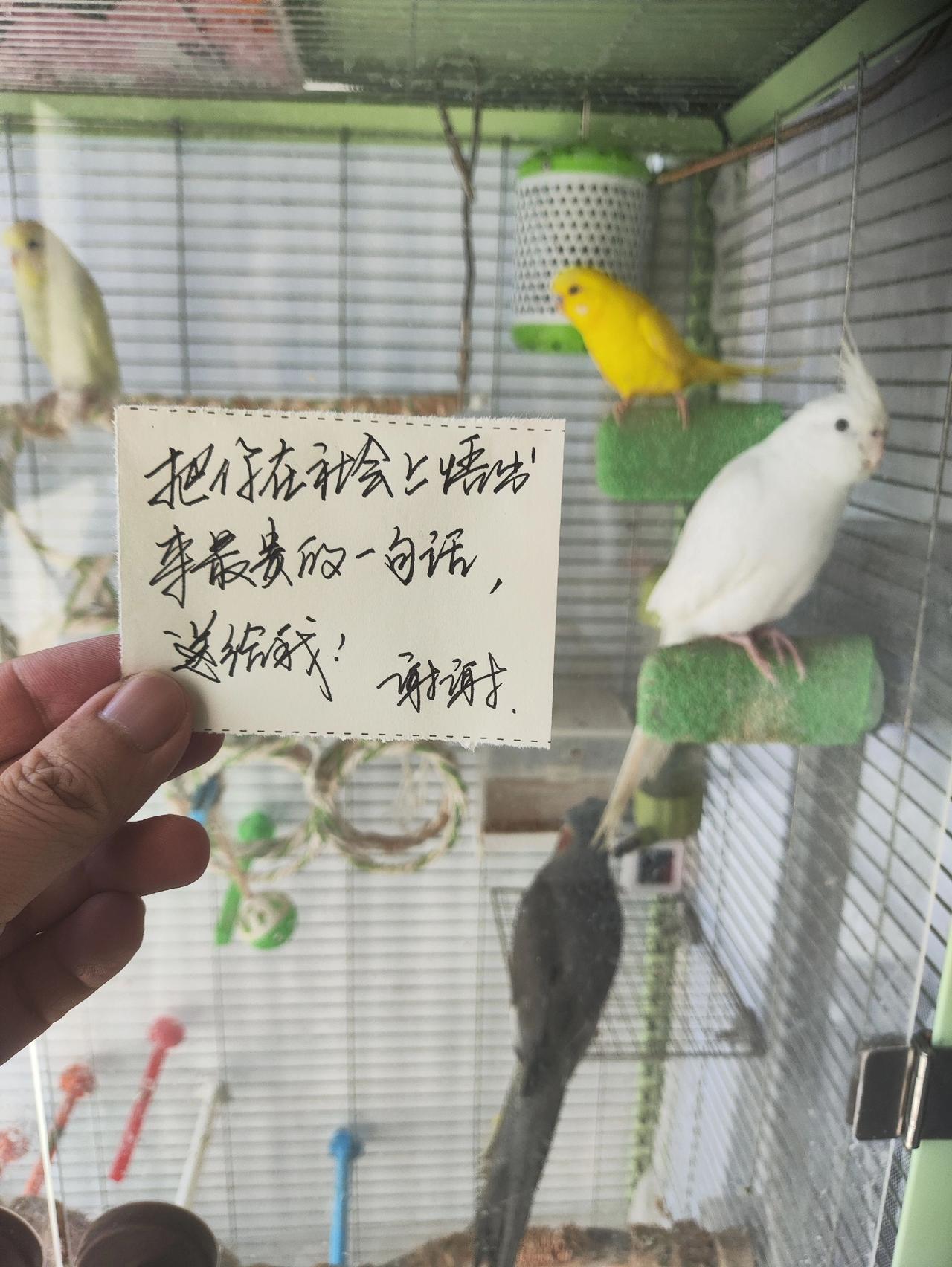 你悟出了什么道理？用一句话告诉我，谢谢！老同学hello