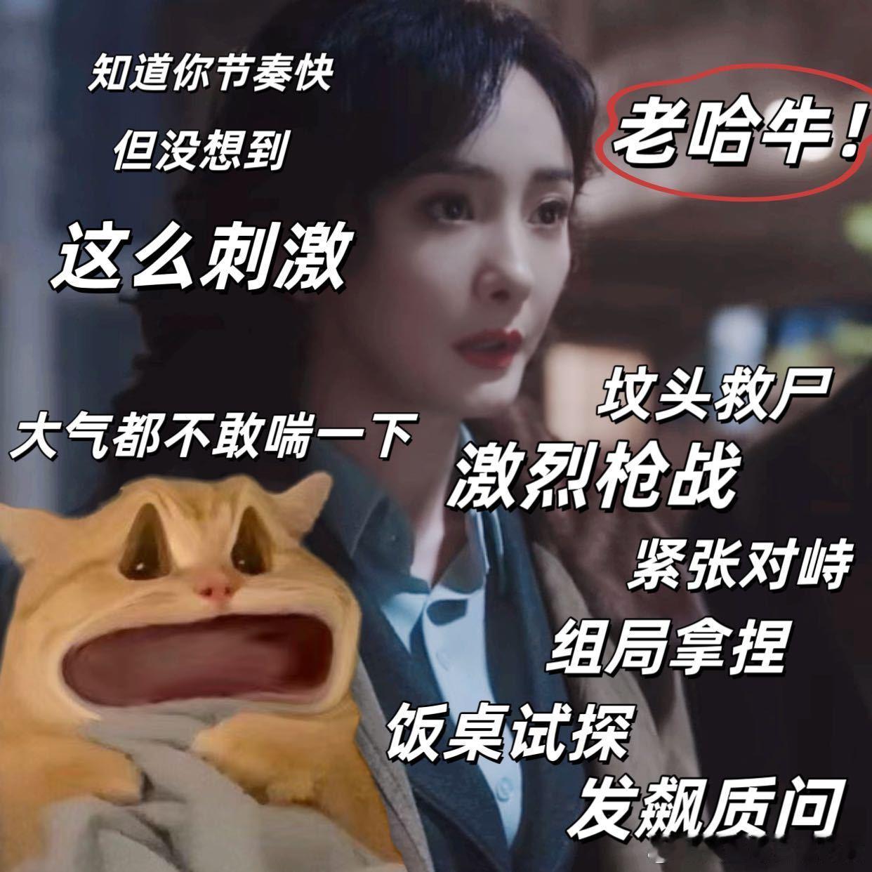#秦昊杨幂新剧剧情节奏##秦昊杨幂一集干了多少事# 哈尔滨一九四四谍战氛围有！不