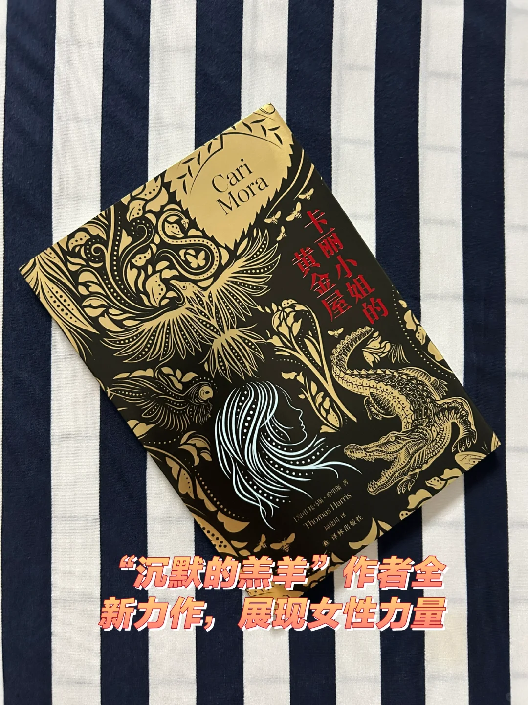 “沉默的羔羊”作者全新力作，展现女性力量